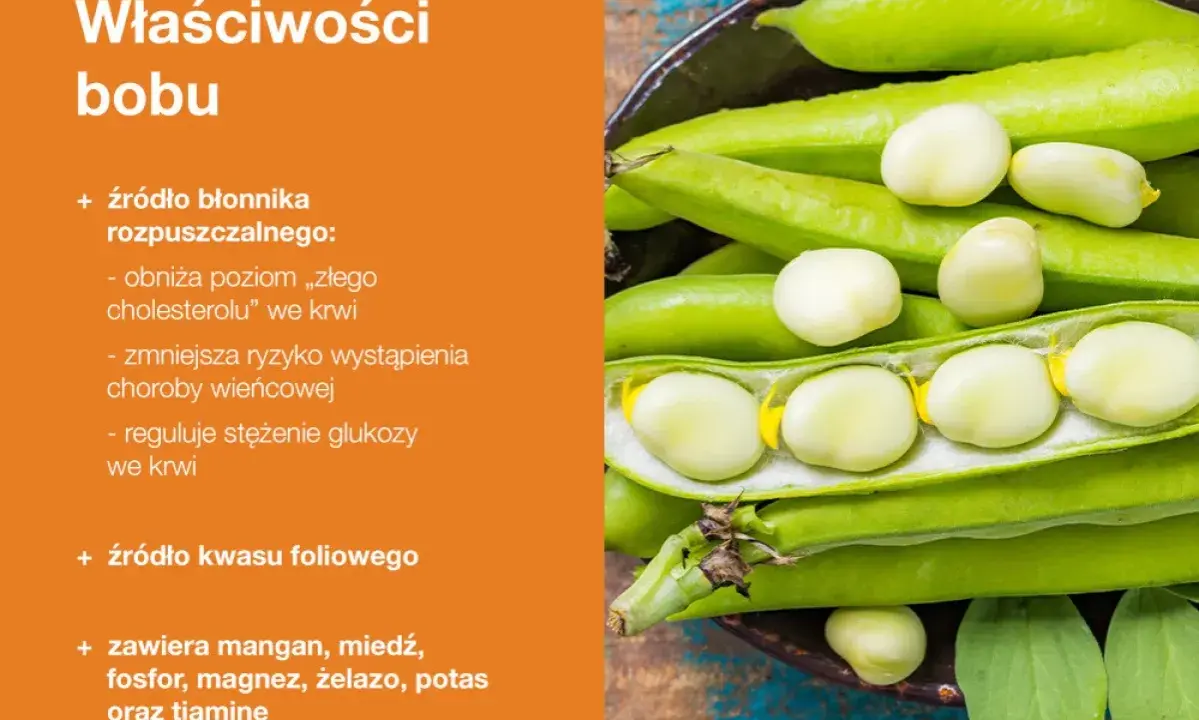 Bob – bogactwo błonnika i kwasu foliowego. Niskie bob kcal, a wysoka wartość odżywcza.