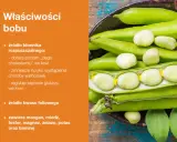 Bob – bogactwo błonnika i kwasu foliowego. Niskie bob kcal, a wysoka wartość odżywcza.