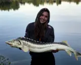 Jak obrać jesiotra? Krok po kroku i bez błędów!