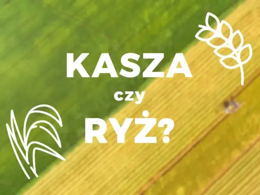 Grafika z napisem "KASZA czy RYŻ?" na tle zielono-żółtego pola.