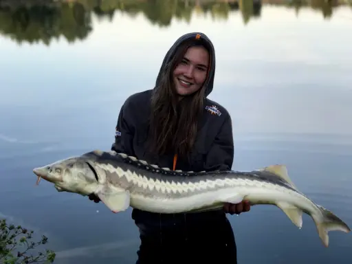 Jak obrać jesiotra? Krok po kroku i bez błędów!