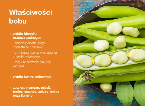 Bob – bogactwo błonnika i kwasu foliowego. Niskie bob kcal, a wysoka wartość odżywcza.